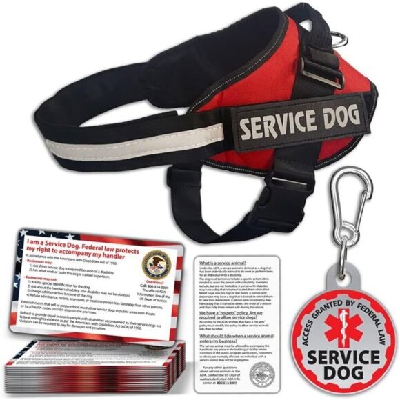 Service Dog Puppy Vest ID Tag 50 ADA Info Card Harness Leash Collar Black LARGE - Picture 1 of 6